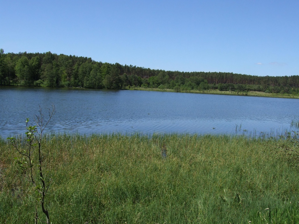 Prace nad planami zadań ochronnych dla obszarów Natura 2000 Jezioro Księże w Lipuszu i Mechowiska Zęblewskie