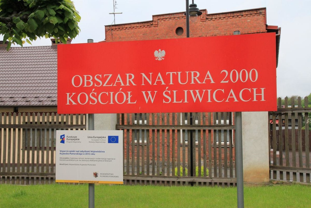 Monitoring nietoperzy w obszarze Natura 2000 Kościół w Śliwicach
