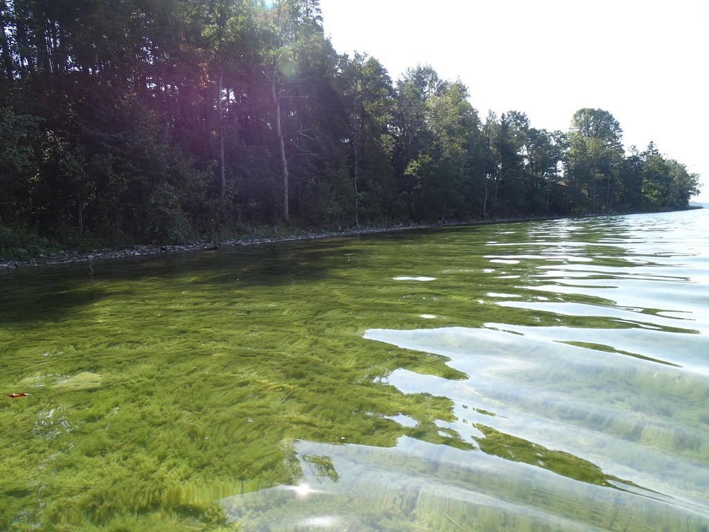 Inwentaryzacja jezior ramienicowych w Ostoi Suwalskiej