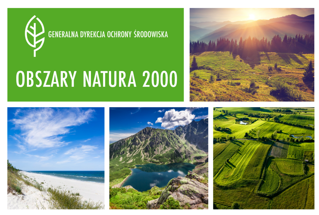 Na białym tle umieszczone w kształcie kwadratów i prostokątów krajobrazy: gór, morza, jezior, łąki, lasy, pola. W sumie 13 kolorowych krajobrazów. W prawym górnym rogu , na zielonym tle, znajduje się napis (biała czcionka): Obszary Natura 2000 oraz logo (biały listek) Generalnej Dyrekcji Ochrony Środowiska.