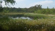 Prace nad planami zadań ochronnych dla kolejnych obszarów Natura 2000 w Śląskiem
