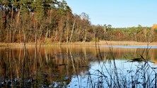 Zmiany planów zadań ochronnych dla obszarów Natura 2000 w lubuskim 