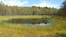 Konsultacje pomorskich planów zadań ochronnych