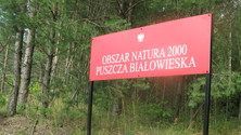 Obszar Natura 2000 Puszcza Białowieska oznakowany