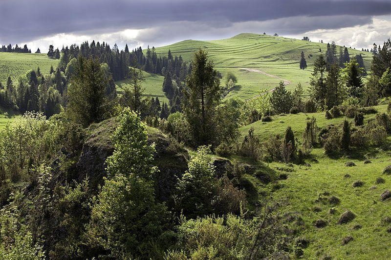 Europejska Nagroda Natura 2000