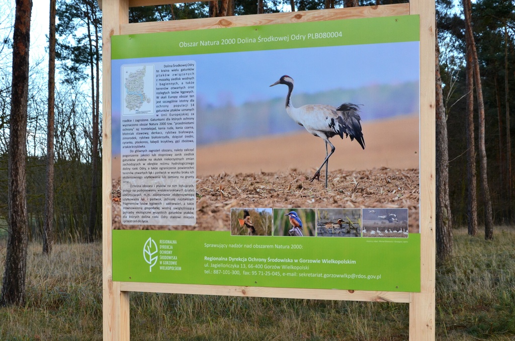 Promocja ochrony obszaru Natura 2000 Dolina Środkowej Odry 