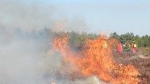 Wypalanie wrzosowisk w ramach ochrony czynnej siedliska Wrzosowisko Przemkowskie